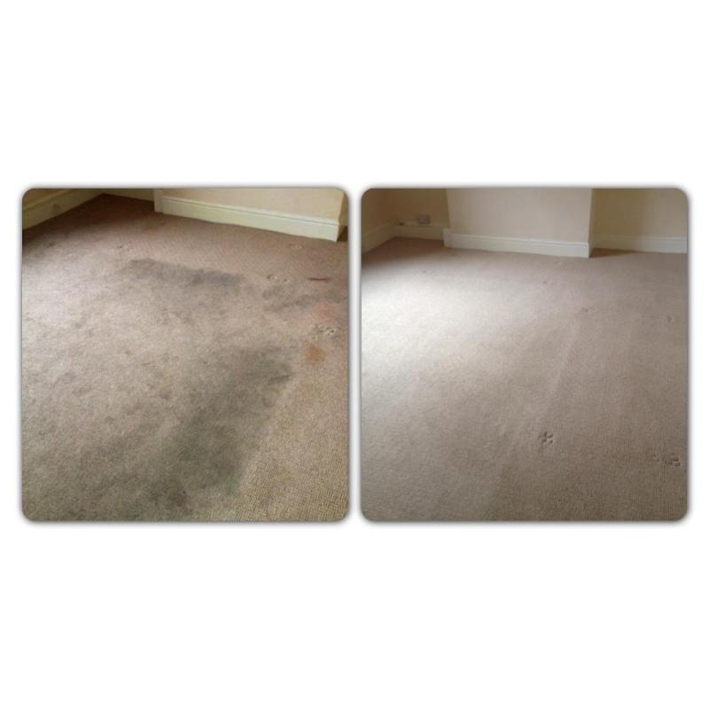 Carpet before and after