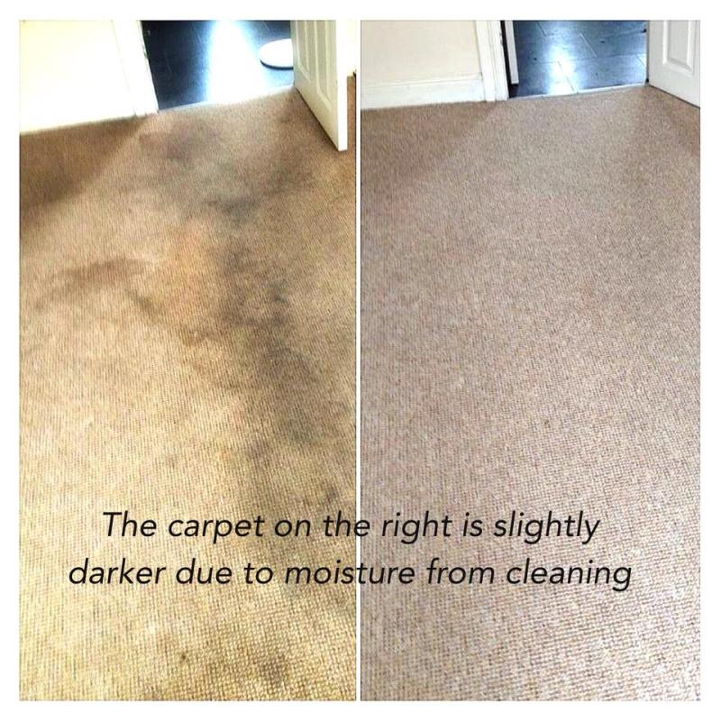 Cleaned carpet