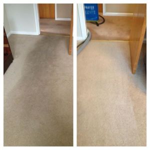 carpet cleaned in barnsley