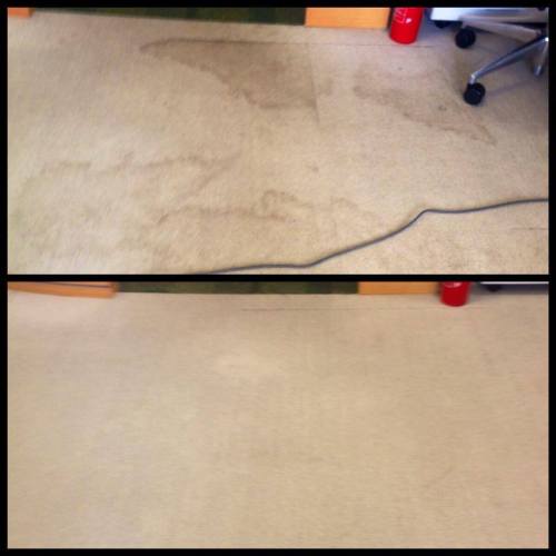 office  carpet cleaning Doncater
