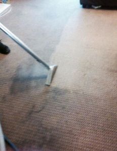 Heavily soiled carpet