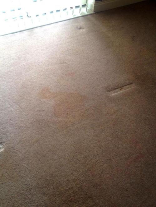 coffee stain removal