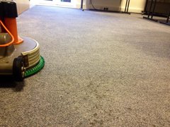 office carpet cleaning